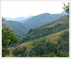 Ziro, Arunachal Paradesh