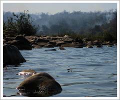 Buda Talaab,  Chhattisgarh