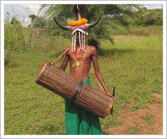 Bison Horn Maria tribal,  Chhattisgarh