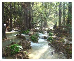 Banas River, Koriya, Chhattisgarh