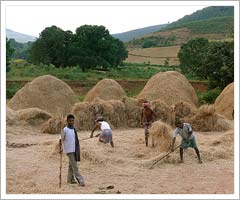 Rayagada Village, Orissa