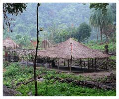 Taptapani Village, Orissa