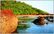 Enchanting Karnataka with Goa