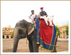 Elephant ride, Rajasthan