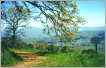 South Karnataka Trail